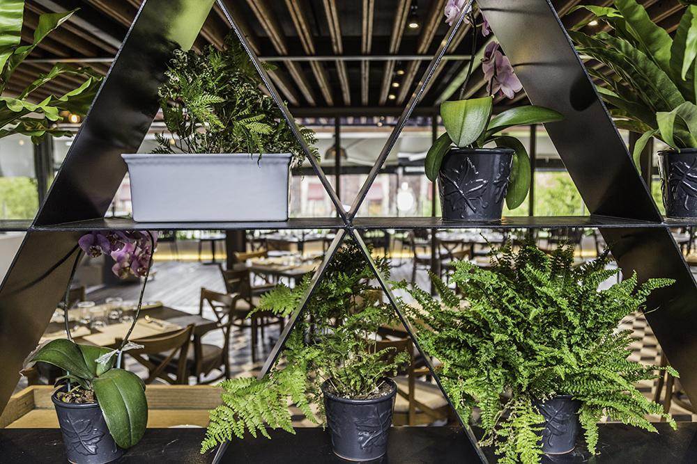 Domingo Santo Hotel Boutique (Adults Only) Mexico by Eksteriør bilde